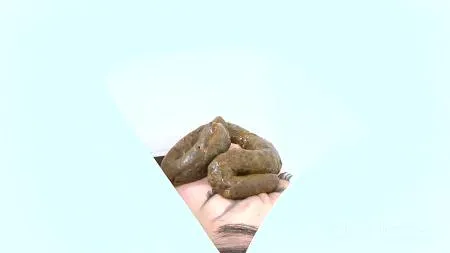 Download Japan Girls - The Human Toilet 4 FullHD 1080p (Scat Humiliation, Japan Scat) scat-shop.com