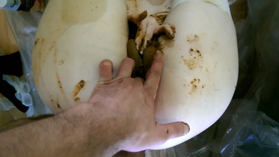 AstraCelestial - Mad Scat Girl. Complete Version PART 3 FullHD 1080p (Scatology, Scat Sex)