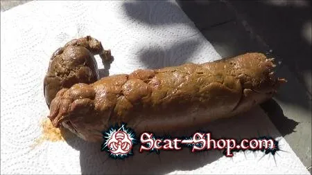 Porn Tegan - Perfect Dump FullHD 1080p (Big pile, Solo) scat-shop.com