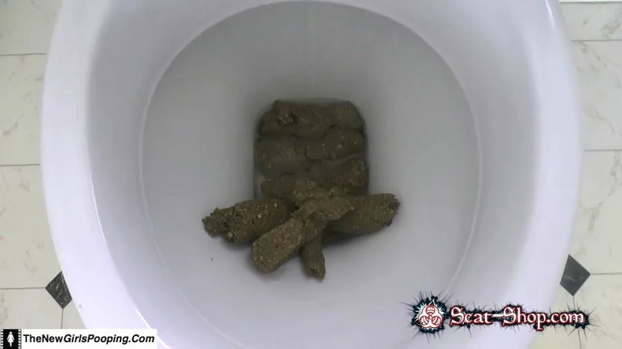 ShitGirl - Toilet Destroyed In 5 Mins FullHD 1080p (Scatology, Amateur)