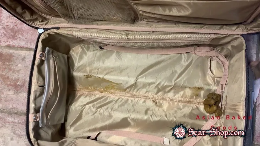 Marinayam19 - Shit in suitcase, dragged around town! FullHD 1080p (Solo, Poop)