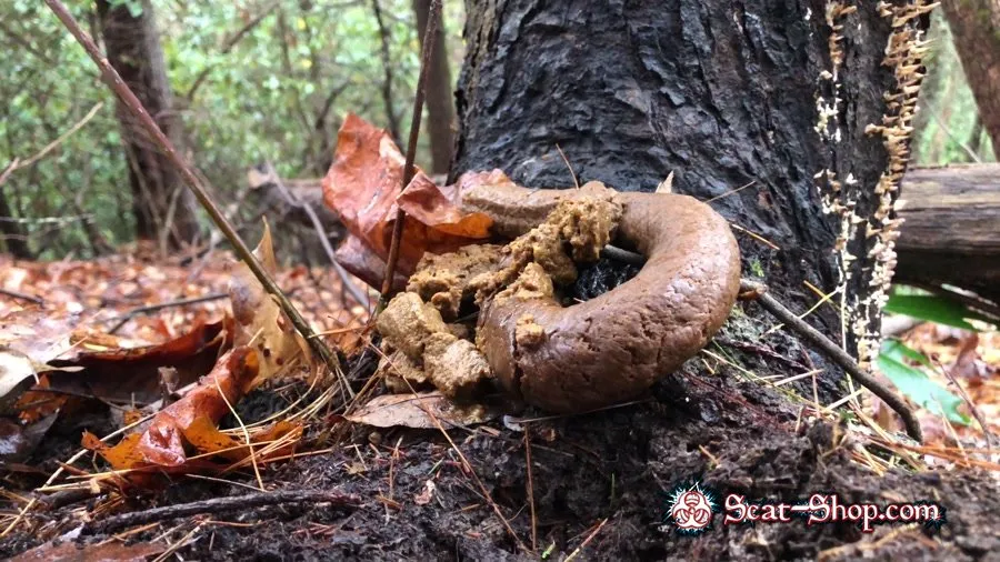 Goddesslucy - 4k Huge Snaky Shit Outdoors UltraHD 4K (Solo, Shit)