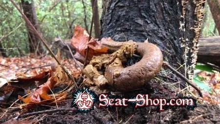 Download Goddesslucy - 4k Huge Snaky Shit Outdoors UltraHD 4K (Solo, Shit) scat-shop.com