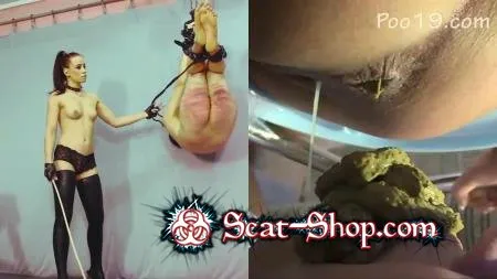 Porn Femdom - Wretched animal 2 HD 720p (Spanking, Human toilet) scat-shop.com