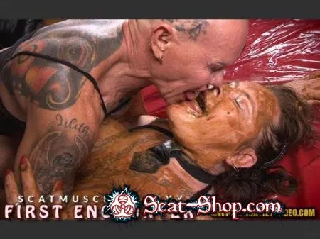 Download Scatmuschi, Sexy - FIRST ENCOUNTER 508 MB] SD (Extreme, Mature) scat-shop.com