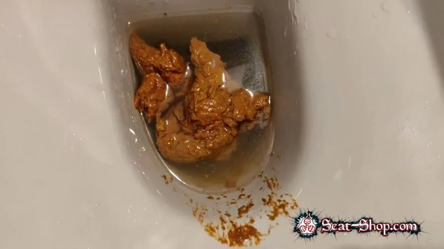 AinaraX - Big Load in the WC FullHD 1080p (Piss, Defecation)