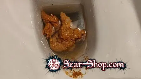 Download AinaraX - Big Load in the WC FullHD 1080p (Piss, Defecation) scat-shop.com