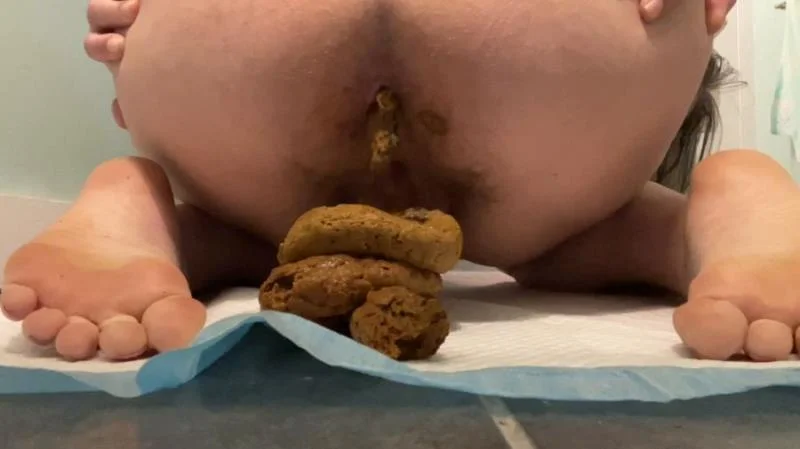 Layla Lee - Layla’s Playtime - Video Compilation [Laylaleescat.com / 1.76 GB] FullHD 1080p (Amateur, Defecation)