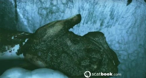SweetBettyParlour - I CAN touch YOU with IT! [Scatbook / 197.27 MB] HD 720p