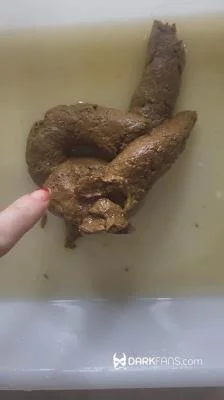 Domina Marbella - Toilet Pov - Hoy He Hecho Este Delicioso Pastel De Mierda [DarkFans.com / 66.2 MB] UltraHD 2K (Solo, Toilet Slavery)