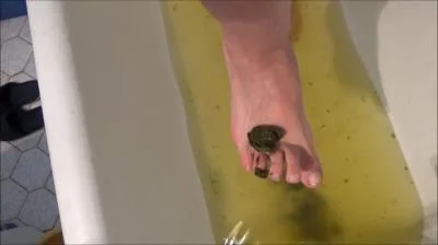 Mistress Roberta - Poop And Enema [Scatshop.com / 382 MB] SD (Fetish, Romanian)