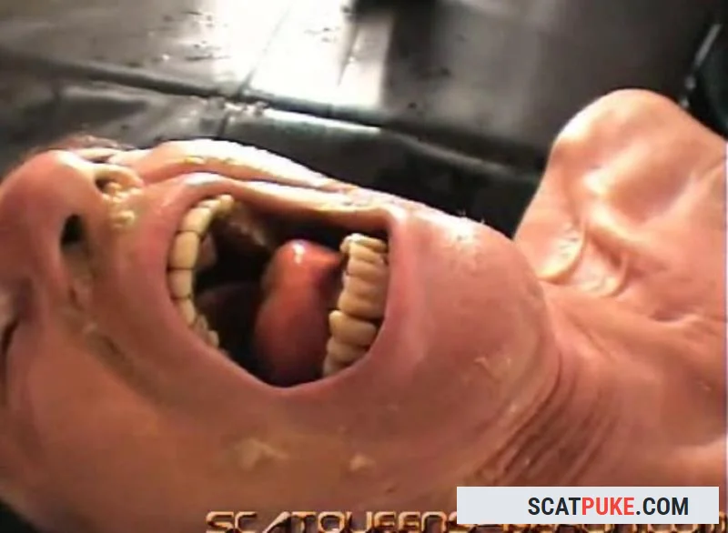 Lady Missy, Lucy Delunatic, Lady Grace - Ach Du Liebe Kotze Teil 2 SD (Femdom, Humiliation)