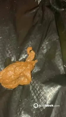 Porn Aurora Jolie - Hairy Pooping Butthole SD (Poop, Amateur) scat-shop.com