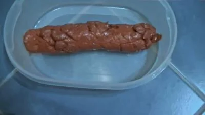 Download Mia Skye aka MiaRoxxx - A Shit For a Fan HD 720p (Germany, Dirty Anal) scat-shop.com