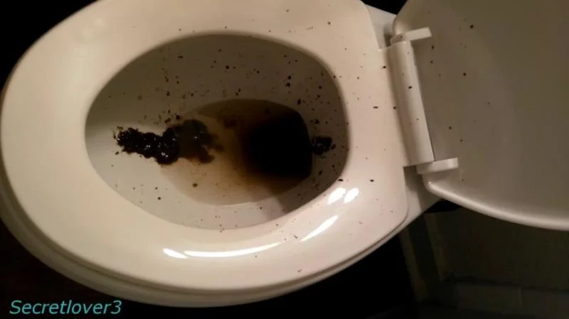 Sorsha aka Secretlover3 - Toilet Spray FullHD 1080p (Poop, Amateur)