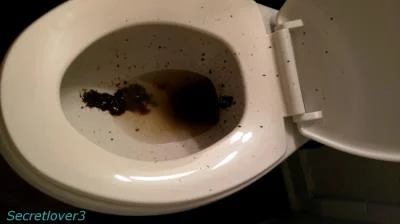 Porn Sorsha aka Secretlover3 - Toilet Spray FullHD 1080p (Poop, Amateur) scat-shop.com