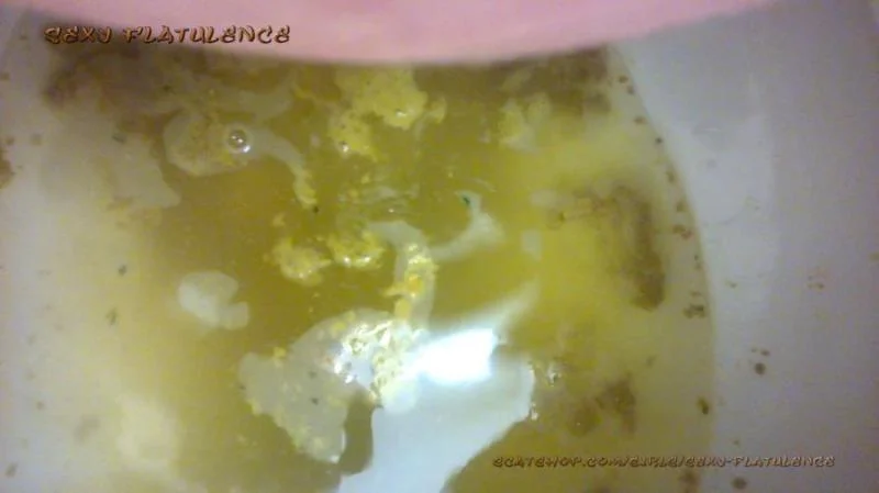 Sexy Flatulence - Diarrhea In The Toilet FullHD 1080p (Milf, Solo)