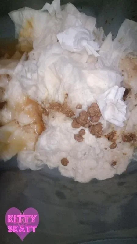 Kitty Skatt - Festival Constipation UltraHD 2K (Solo, Dirty Anal)