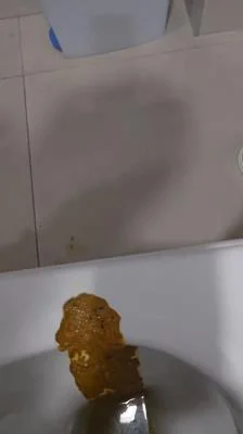 Download Miss Lith - Scatting Girl 22 SD (Spain, Toilet Slavery) scat-shop.com