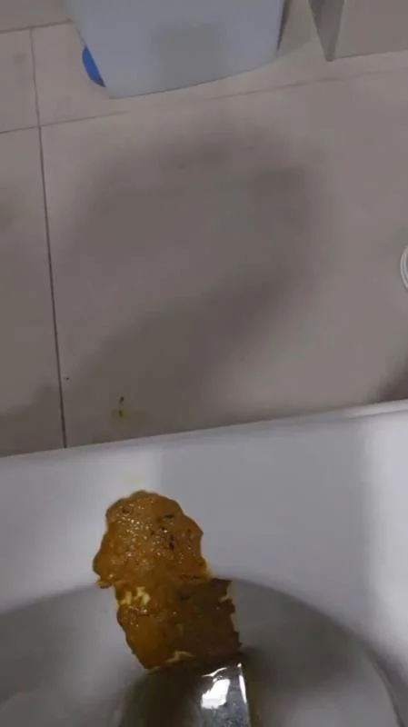 Miss Lith - Scatting Girl 22 SD (Spain, Toilet Slavery)