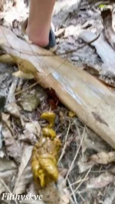 Porn Filthy Skye - Shitting Girl 64 SD (Defecation, Scat Wife) scat-shop.com