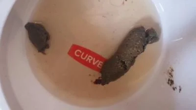 Porn Bitchs meal HD 720p (Kaviar, Humiliation) scat-shop.com