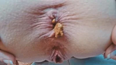 Download Mia Skye aka MiaRoxxx - Closer Than Close HD 720p (Germany, Dirty Anal) scat-shop.com