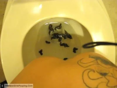 Porn Scatting Girl - 2 SD (Milf, Homemade) scat-shop.com