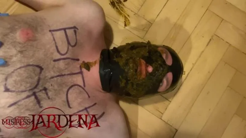 Masacrated bitch on first toilet session HD 720p (Kaviar, Humiliation)