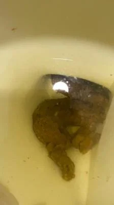 Porn Shitting On The Bathroom Floor At Work SD (Poop, Big Ass) scat-shop.com