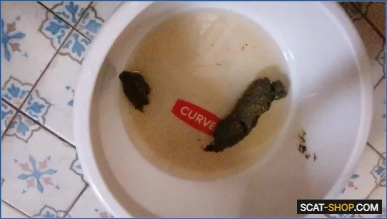 Mistress Jardena - Bitchs meal [HD 720p] 26.51 MB