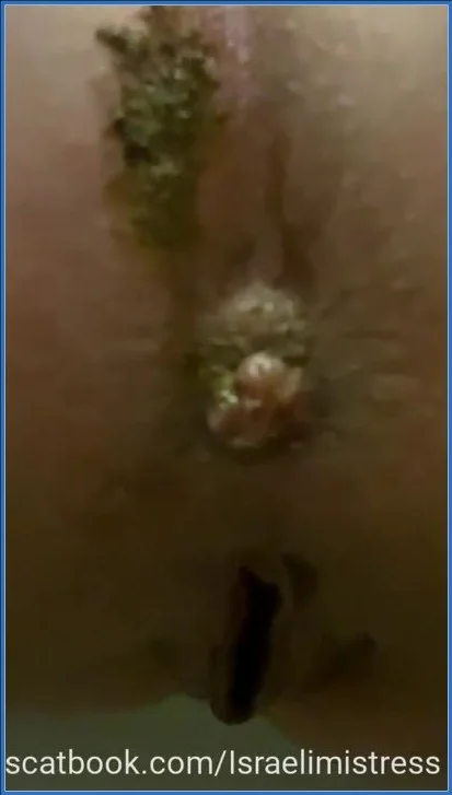 Mistress Jardena - Best lunch for my toilet bitches [SiteRip] 8.94 MB