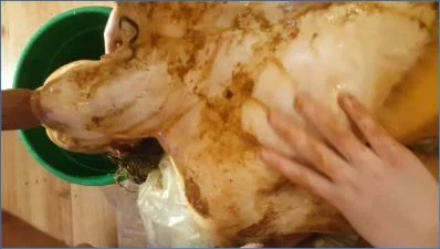Shitting Videos: Astra Celestial and Five Some in Scat Eating Orgy