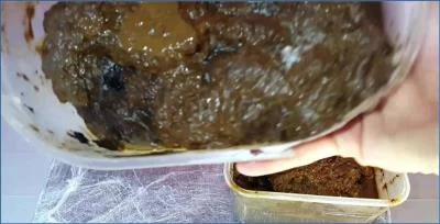 Anna Coprofield in Fill My Pussy 7 with Dirty Toilet and Shitting