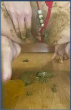 Veronika Pooping Shit Double Penetration and Panties from Shitting Videos
