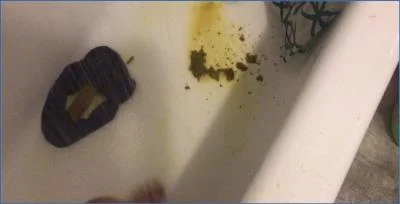 Missellie Dominates with Dirty Solo Actions- Toilet Slave Scat Porn Clip