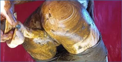 Anna Coprofield Streams Grey Leggings Soiled with Shit - Polish Scat