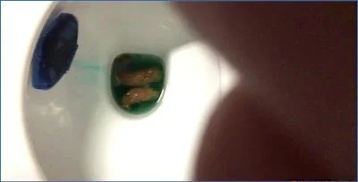 Ella Gilbert's Wild Bathroom Fisting and Diarrhea Solo Stream - Scat