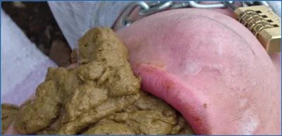 MilanaSmelly's Extreme Human Toilet Action - Beachside Scat Fest