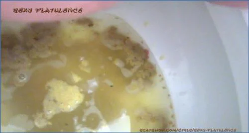 SexyFlatulence Delivers rough Diarrhea and Wet Farts in Toilet