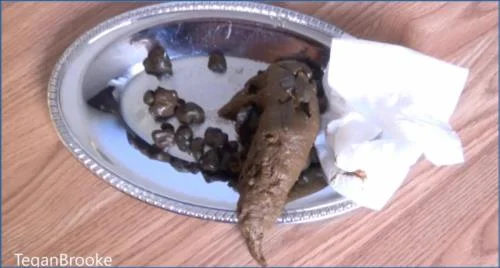 Tegan's Bedroom Platter Poop video
