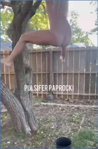 Pulsifer Paprocki Takes Massive Shits from High Things in Solo Copro Fetish Video