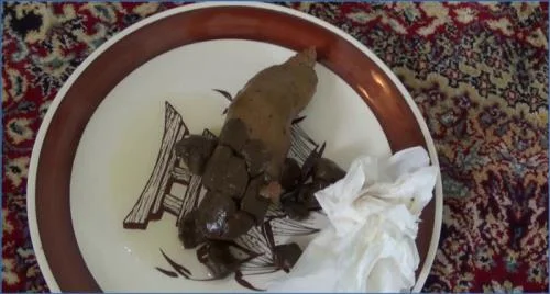 Poop on a Plate with Tegan in Hardcore Shitting Copro Fetish