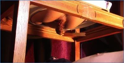 Diana Delivers Nasty Poop in Lady Diana with Femdom and Farting