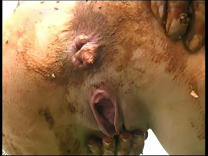 German Kaviar Piles High in Bare Scat Defecation - a Hour