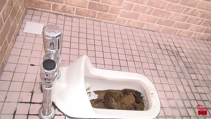 Stinky Poops and Clogged Toilets: Unfiltered Japanese Scat Action