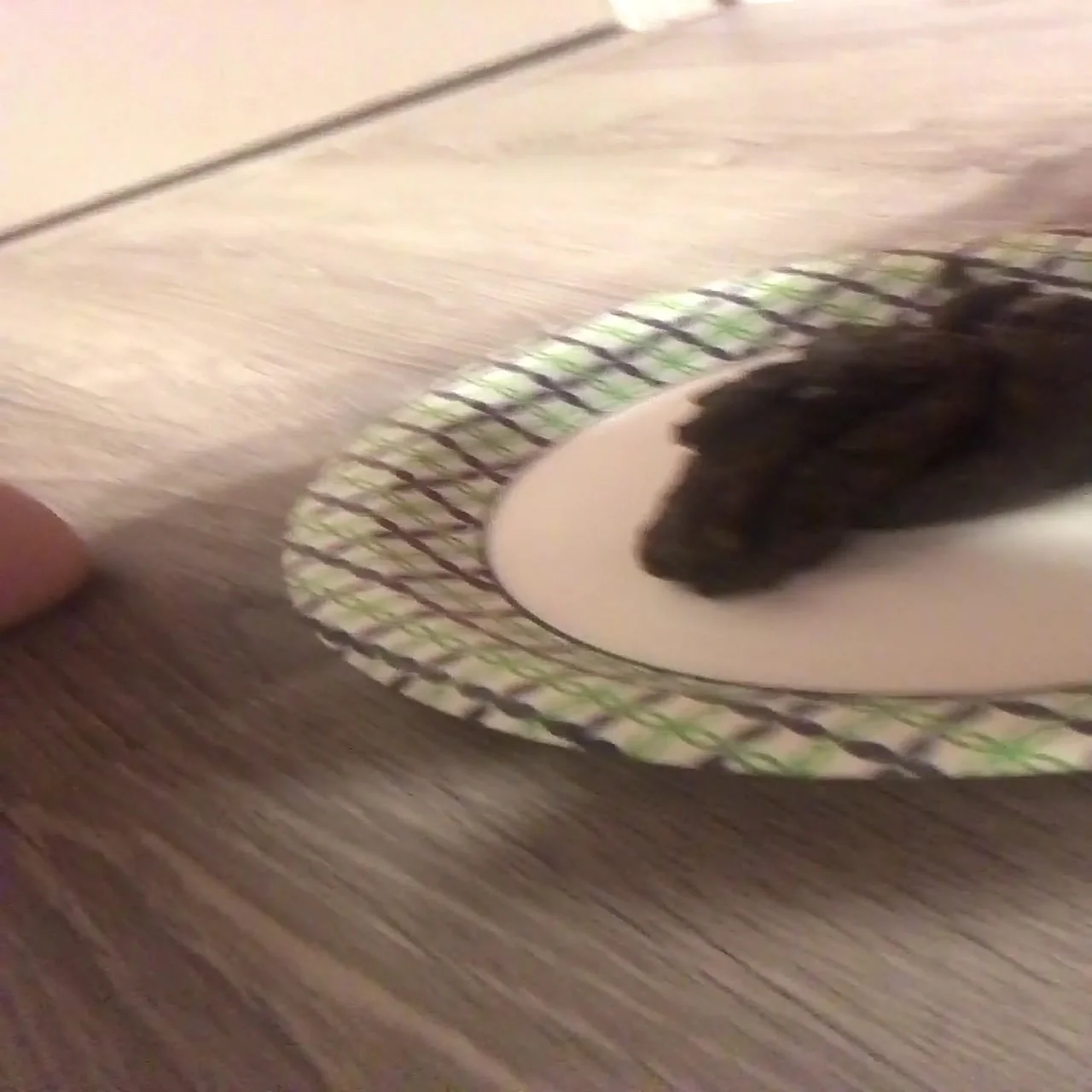 Heavy Solid Dump by Deep Impact in Close-Up Scat Clip